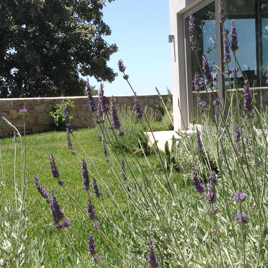 Lidea Boutique Hotel Pótamosz Kültér fotó